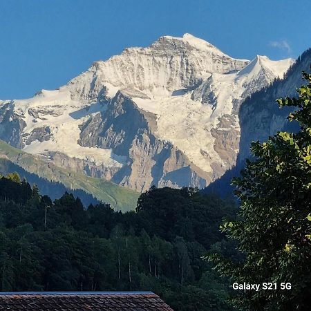Mountain - Lake Apartment 3 Wilderswil Exterior foto